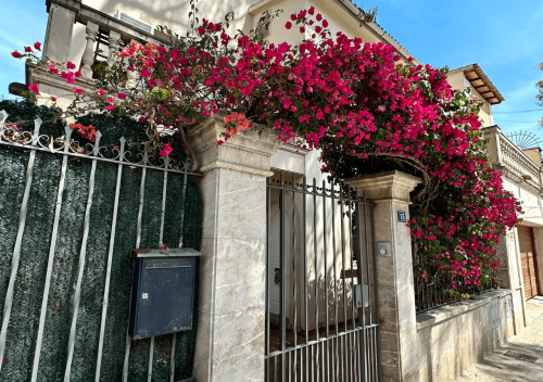 villa_armadans_-_palma_coliving_mallorca_4-min