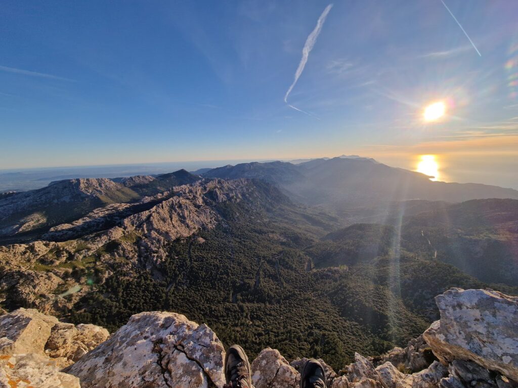 Survival Reset Mallorca