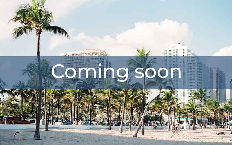coming soon-1 copie coming soon-1 copie
