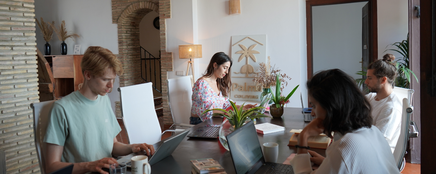 Palma Coliving Valencia - Coliving for digital nomads
