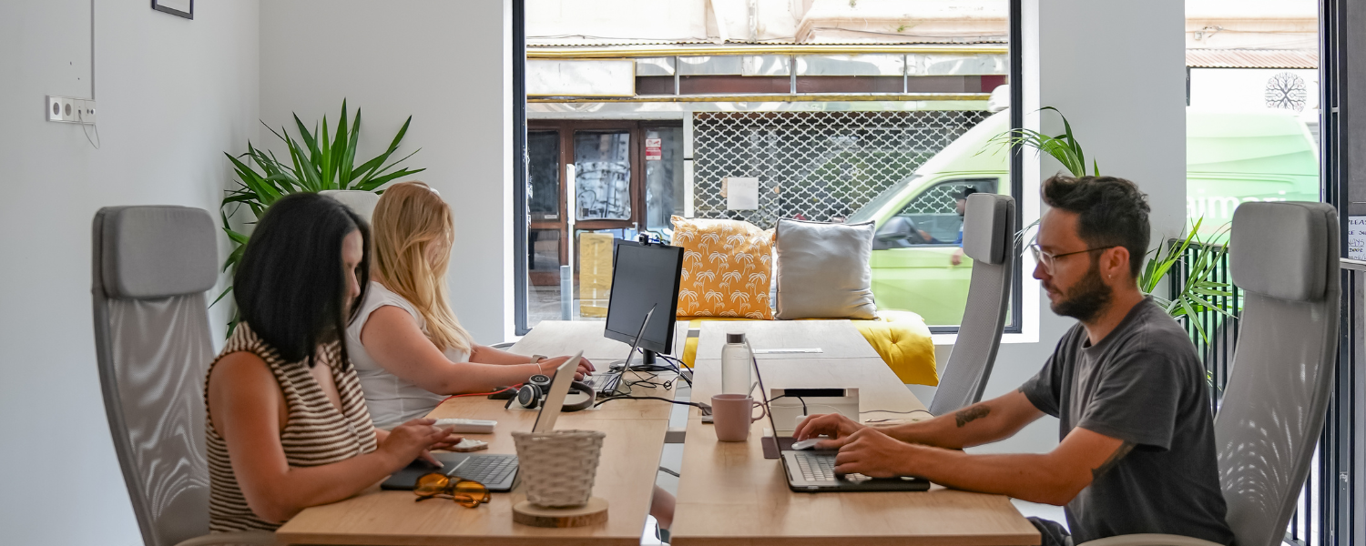 Palma Coliving, best colivng for digital nomads Palma Coliving, best colivng for digital nomads